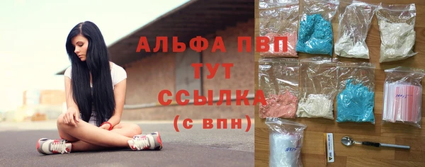 крисы Корсаков