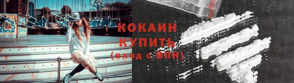 крисы Корсаков
