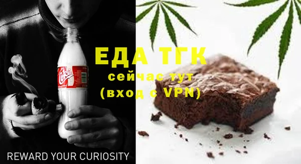 крисы Корсаков