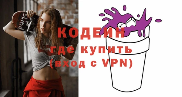 крисы Корсаков
