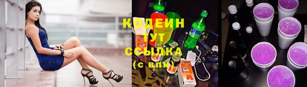 крисы Корсаков