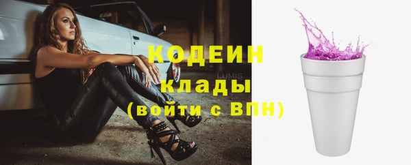 крисы Корсаков