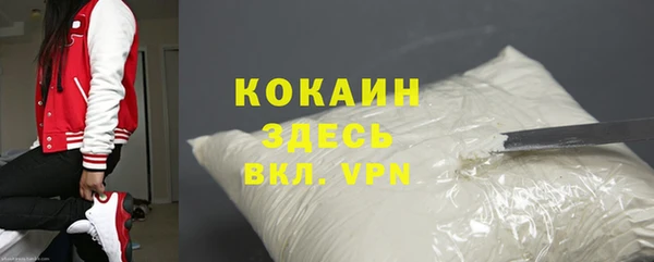 крисы Корсаков