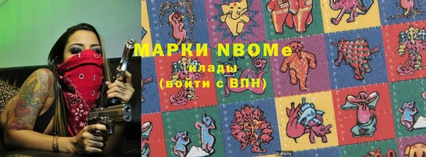 крисы Корсаков
