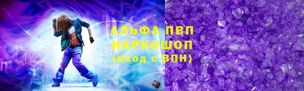 крисы Корсаков