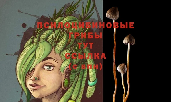 хмурый Костерёво
