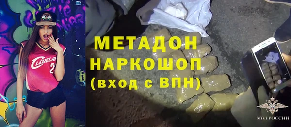 крисы Корсаков