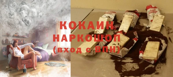 крисы Корсаков