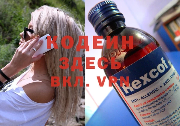 крисы Корсаков
